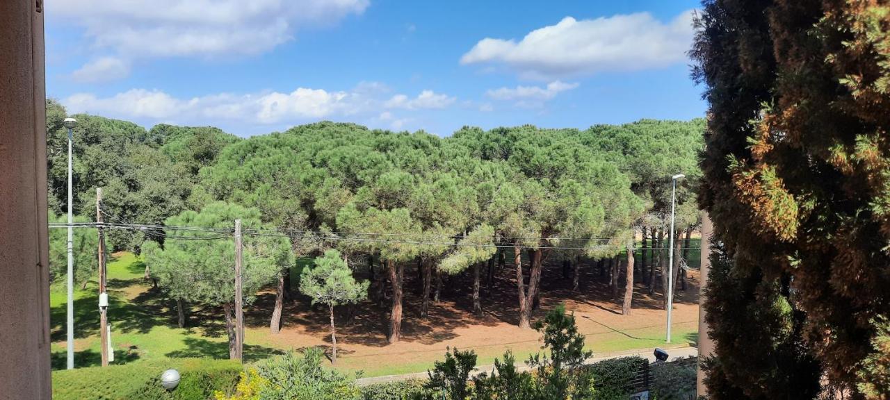 Apartamento De Standing カレリャ・デ・パラフルジェリ エクステリア 写真